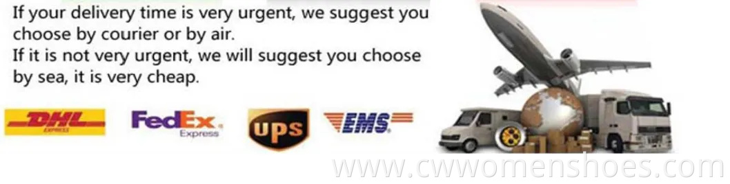 Sport Shoes Women Special Design Chunky Shoes for Autumn Women's Casual Thick-Soled Running Sneakers Fa-Y5502